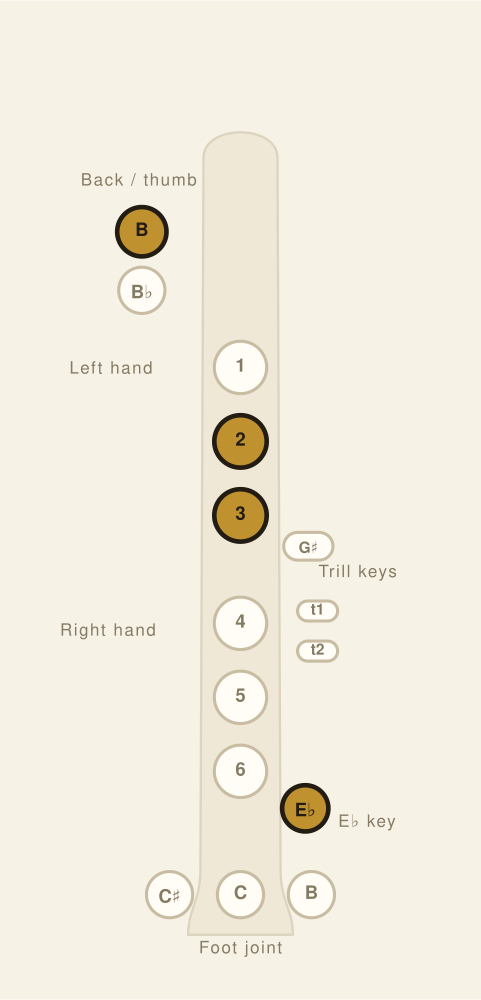 Flute fingering chart: High D